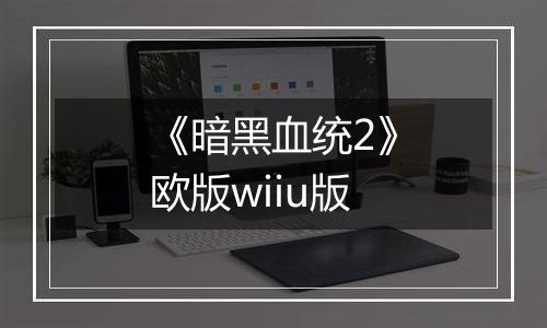 《暗黑血统2》欧版wiiu版