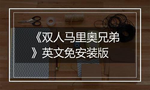《双人马里奥兄弟》英文免安装版