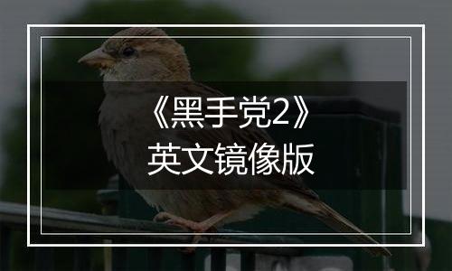 《黑手党2》 英文镜像版