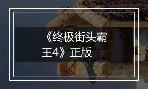 《终极街头霸王4》正版