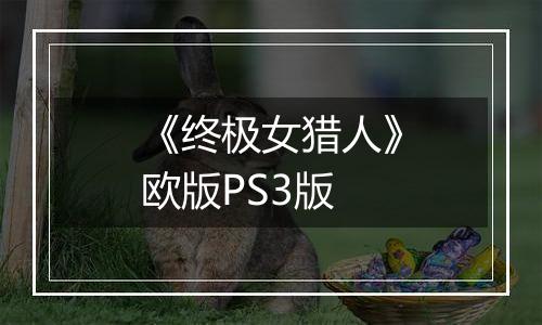 《终极女猎人》欧版PS3版