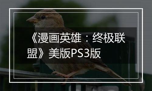 《漫画英雄：终极联盟》美版PS3版