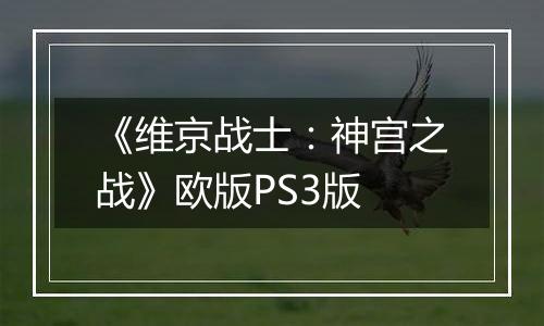 《维京战士：神宫之战》欧版PS3版