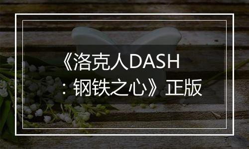 《洛克人DASH：钢铁之心》正版