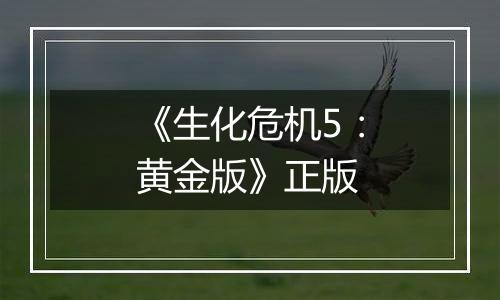 《生化危机5:黄金版》正版