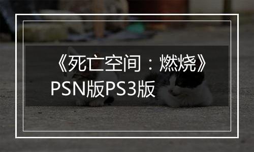 《死亡空间：燃烧》PSN版PS3版