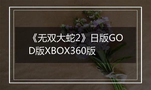 《无双大蛇2》日版GOD版XBOX360版
