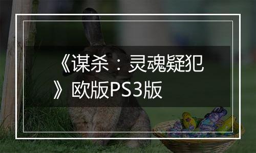 《谋杀:灵魂疑犯》欧版PS3版
