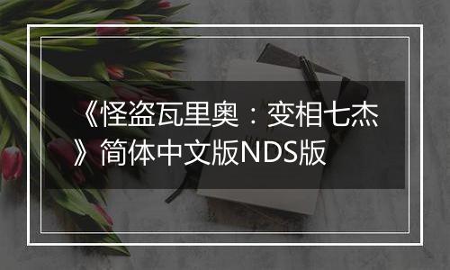 《怪盗瓦里奥：变相七杰》简体中文版NDS版