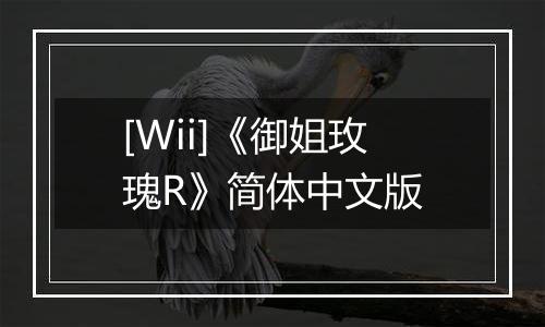 [Wii]《御姐玫瑰R》简体中文版