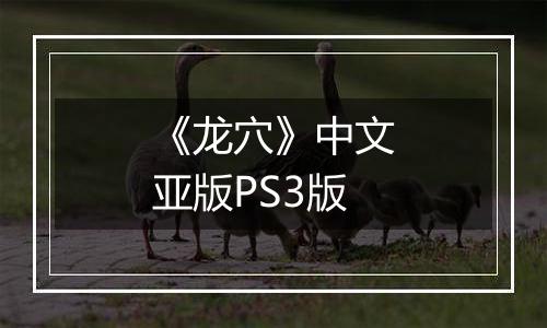 《龙穴》中文亚版PS3版