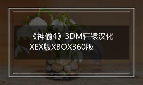 《神偷4》3DM轩辕汉化XEX版XBOX360版
