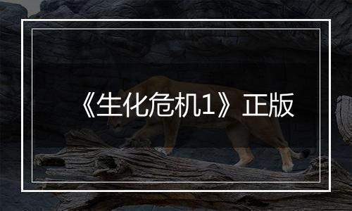 《生化危机1》正版