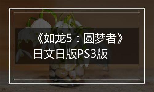 《如龙5：圆梦者》日文日版PS3版
