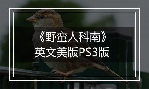 《野蛮人科南》 英文美版PS3版