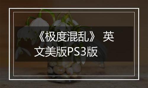 《极度混乱》 英文美版PS3版
