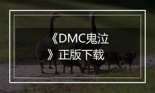 《DMC鬼泣》正版下载