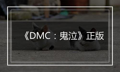 《DMC：鬼泣》正版