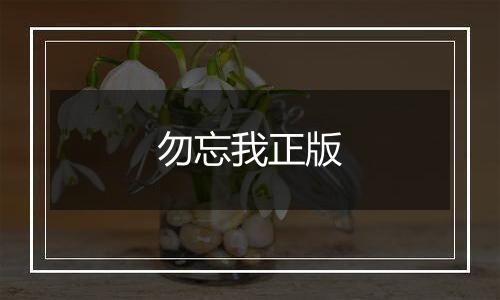 勿忘我正版