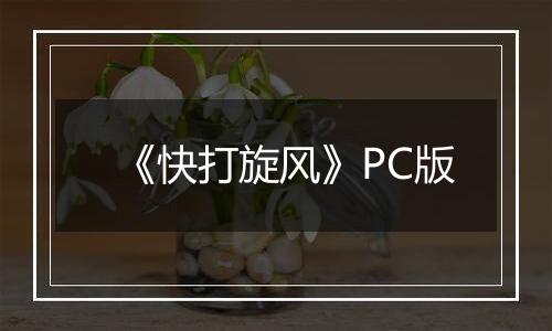《快打旋风》PC版