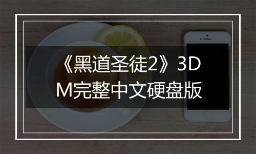 《黑道圣徒2》3DM完整中文硬盘版