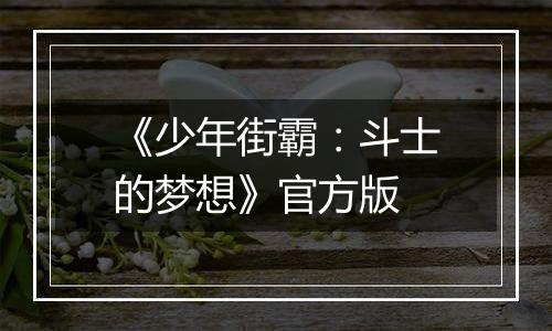《少年街霸:斗士的梦想》官方版