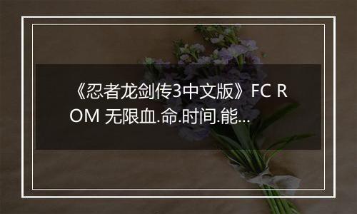 《忍者龙剑传3中文版》FC ROM 无限血.命.时间.能量版