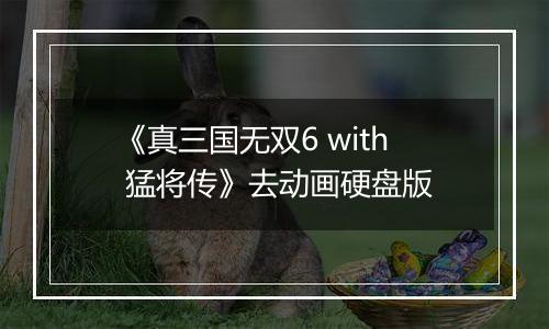 《真三国无双6 with 猛将传》去动画硬盘版