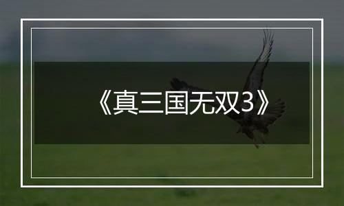 《真三国无双3》