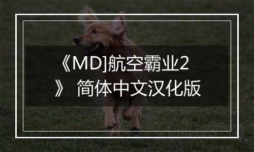 《MD]航空霸业2》 简体中文汉化版