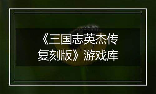 《三国志英杰传复刻版》游戏库