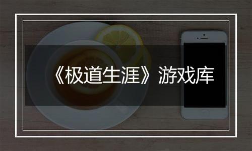 《极道生涯》游戏库
