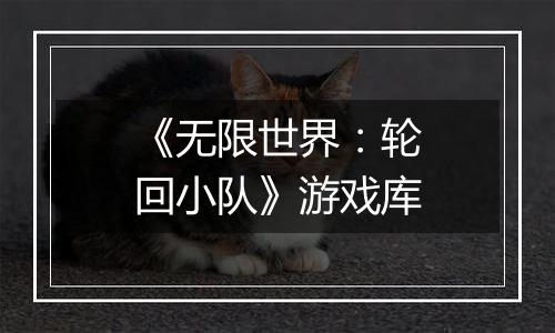 《无限世界：轮回小队》游戏库