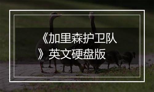 《加里森护卫队》英文硬盘版