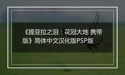 《提亚拉之泪:花冠大地 携带版》简体中文汉化版PSP版