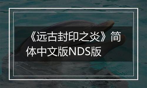 《远古封印之炎》简体中文版NDS版