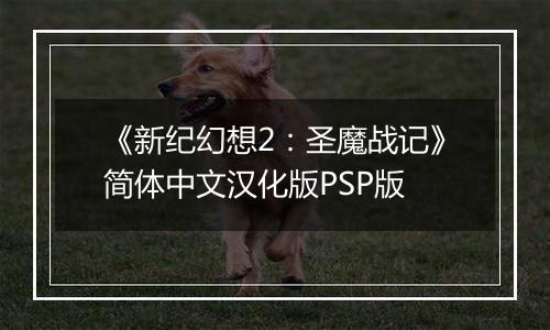 《新纪幻想2：圣魔战记》简体中文汉化版PSP版