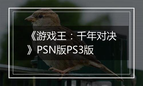 《游戏王：千年对决》PSN版PS3版
