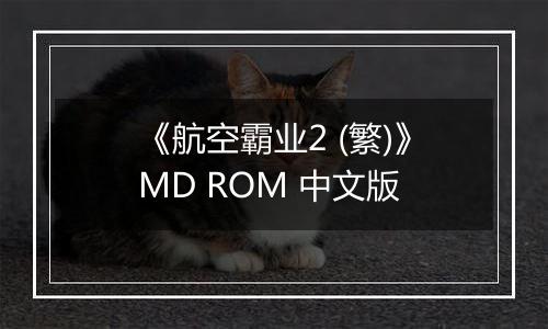《航空霸业2 (繁)》MD ROM 中文版