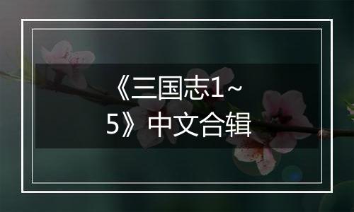 《三国志1~5》中文合辑