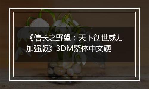 《信长之野望：天下创世威力加强版》3DM繁体中文硬