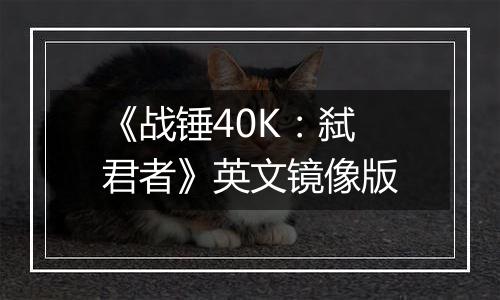 《战锤40K：弑君者》英文镜像版