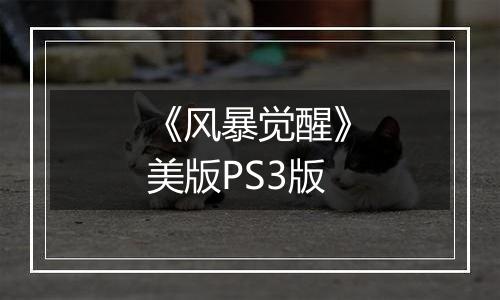 《风暴觉醒》美版PS3版