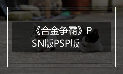 《合金争霸》PSN版PSP版