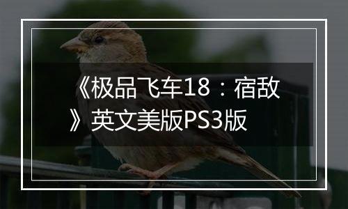 《极品飞车18：宿敌》英文美版PS3版