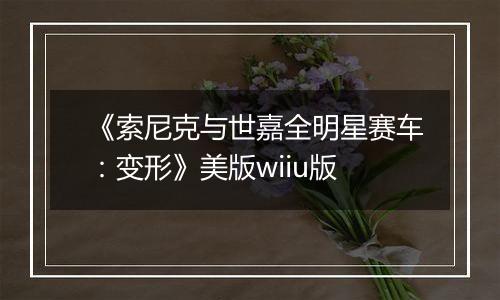 《索尼克与世嘉全明星赛车：变形》美版wiiu版