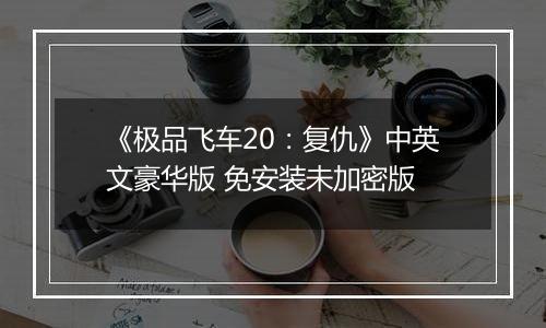 《极品飞车20：复仇》中英文豪华版 免安装未加密版