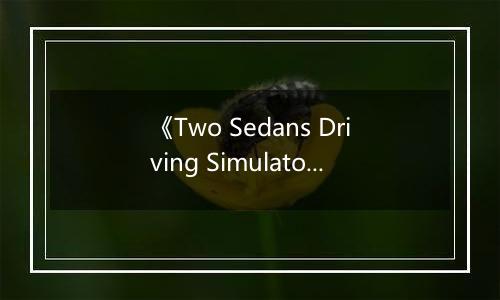 《Two Sedans Driving Simulator》游戏库