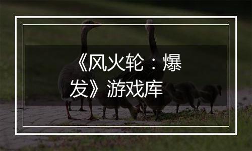 《风火轮：爆发》游戏库