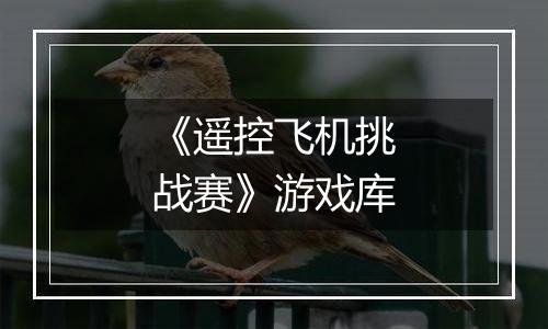 《遥控飞机挑战赛》游戏库